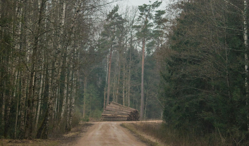 Lerbergsskogen